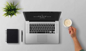 Trusted Online Betting for Beginners Reviews Review 2026: Bonus, App, Withdrawal Tested